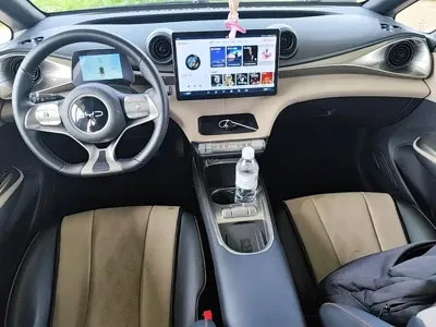 BYD Dolphin