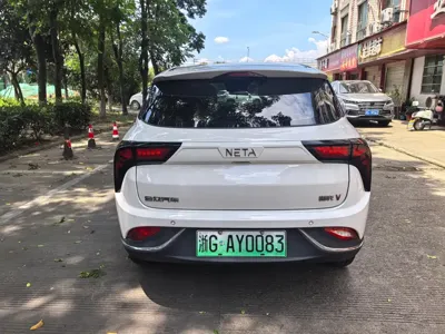 NETA Neta V