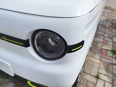 Galaxy Panda