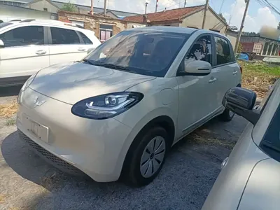 Wuling Bingo