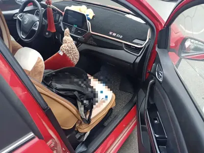 Baojun 310