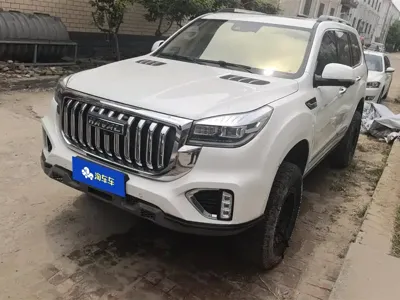 Haval H9