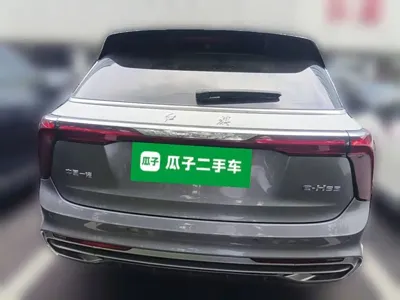 Hongqi Hongqi E-HS9