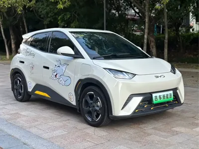 BYD Seagull