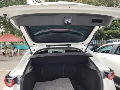 Mazda CX-30 EV