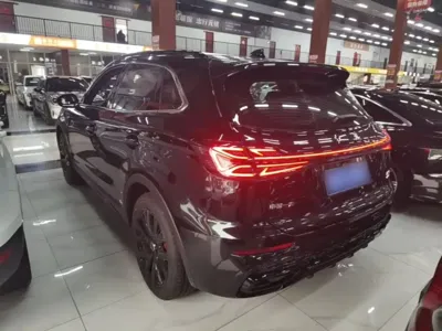 Hongqi Hongqi HS5