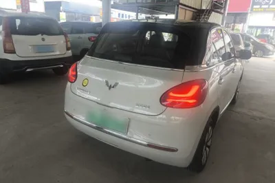 Wuling Bingo