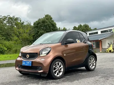 Smart Smart Fortwo