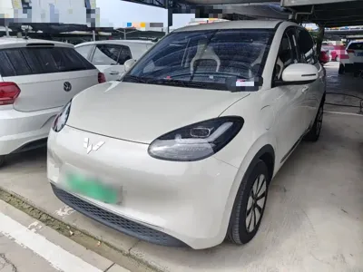 Wuling Bingo