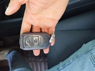 Honda Jade