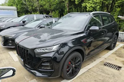 Hongqi HS5