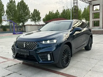 WEY VV7