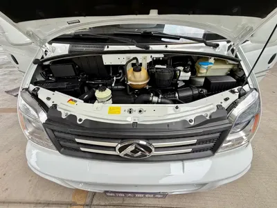 Maxus V80