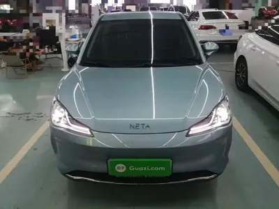 NETA Neta V