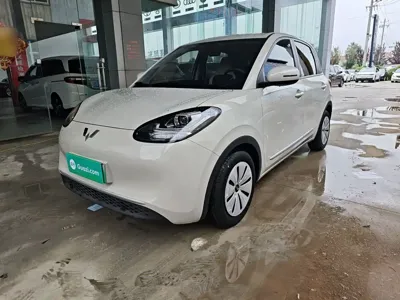 Wuling Bingo