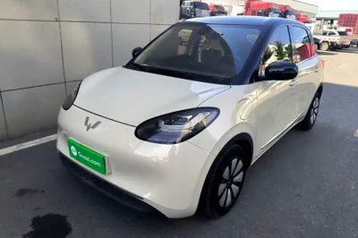 Wuling Bingo