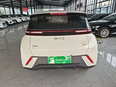 BYD Seagull