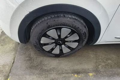 Wuling Bingo