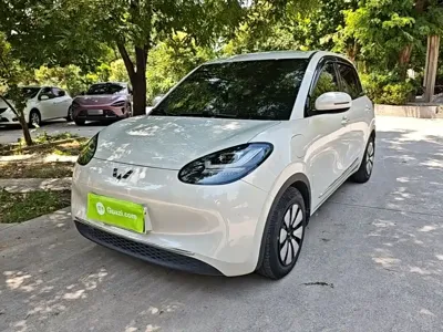 Wuling Bingo