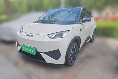 BYD Seagull