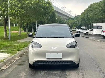 Wuling Bingo