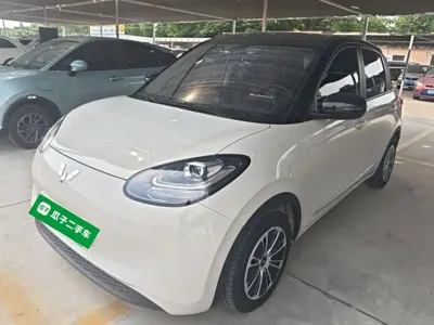 Wuling Bingo