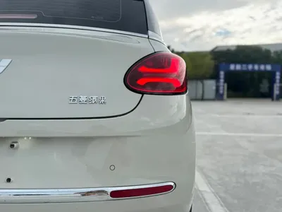 Wuling Bingo