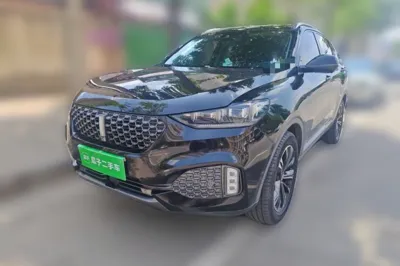 WEY VV6