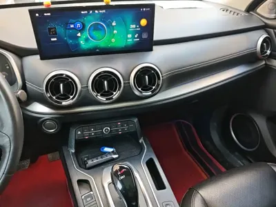 WEY Wey VV6