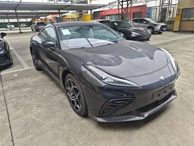 NETA Neta GT