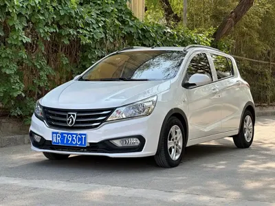 Baojun 310
