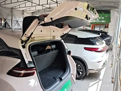 BYD Seagull