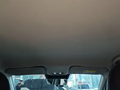 NETA Neta V