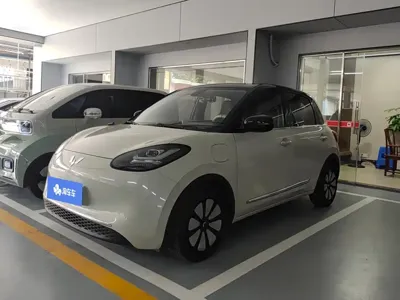 Wuling Bingo