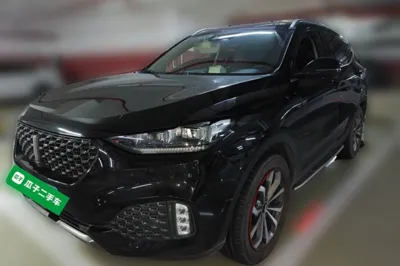 WEY VV6