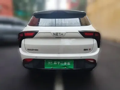 NETA Neta V