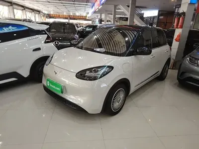 Wuling Bingo