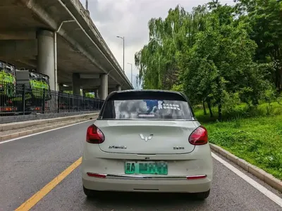Wuling Bingo