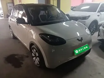 Wuling Bingo