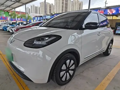 Wuling Bingo