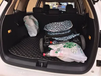 BYD MAX