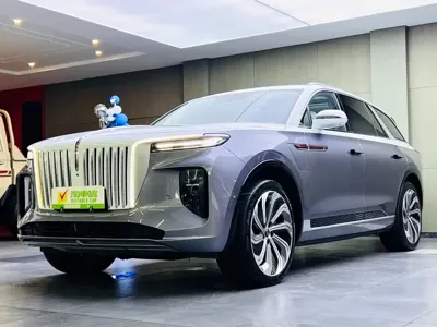 Hongqi Hongqi E-HS9