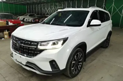 Forthing T5