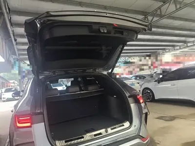 BYD PLUS New Energy