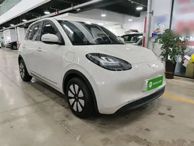 Wuling Bingo