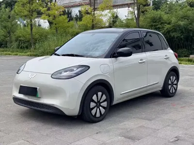 Wuling Bingo