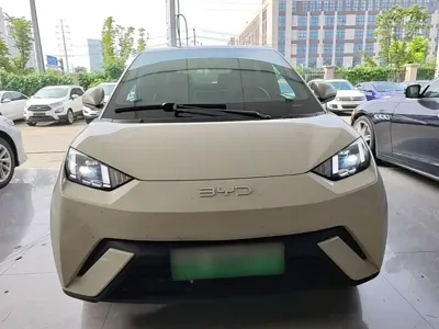 BYD Seagull