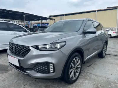 WEY Wey VV6