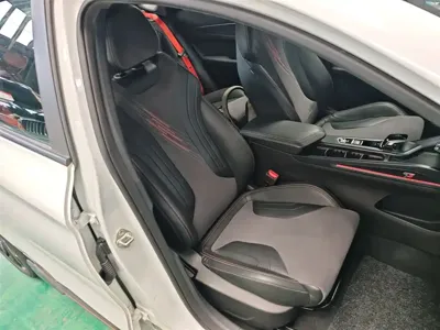 Geely Binrui