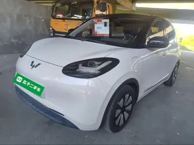 Wuling Bingo